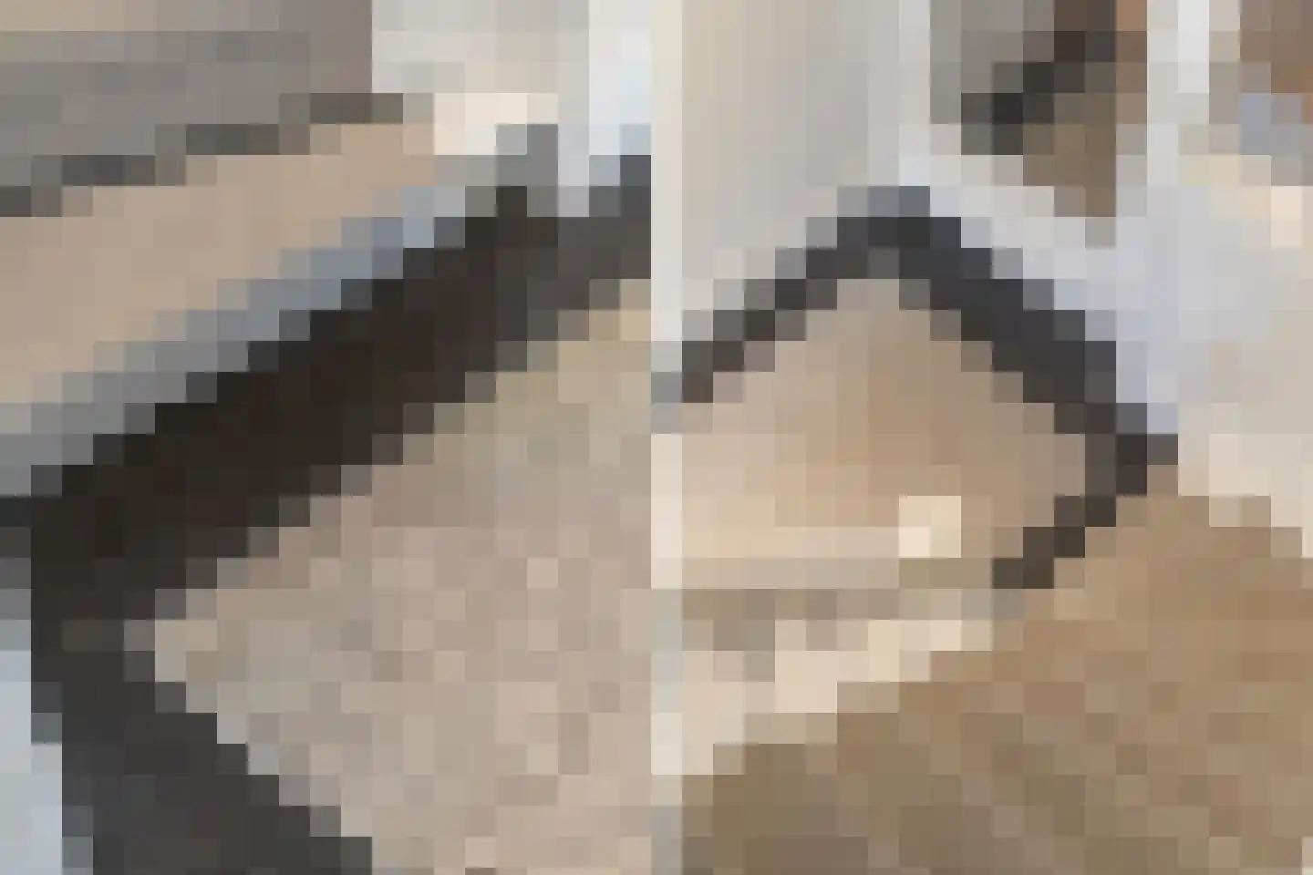 Wipstrikkerallee 116 Zwolle thumbnail 13