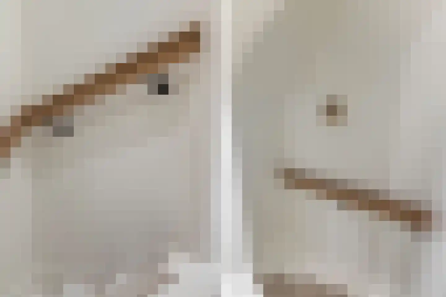 Wipstrikkerallee 116 Zwolle thumbnail 25