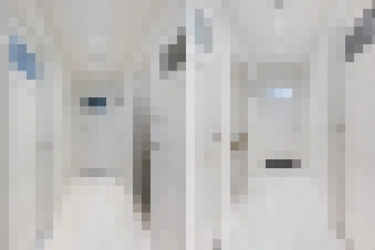Wipstrikkerallee 116 Zwolle thumbnail 26