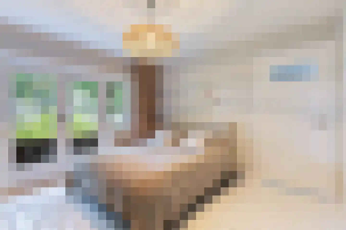 Wipstrikkerallee 116 Zwolle thumbnail 32