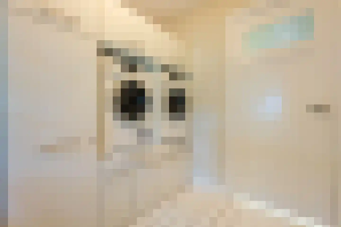 Wipstrikkerallee 116 Zwolle thumbnail 34