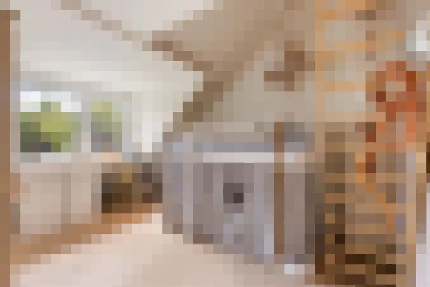 Wipstrikkerallee 116 Zwolle thumbnail 41