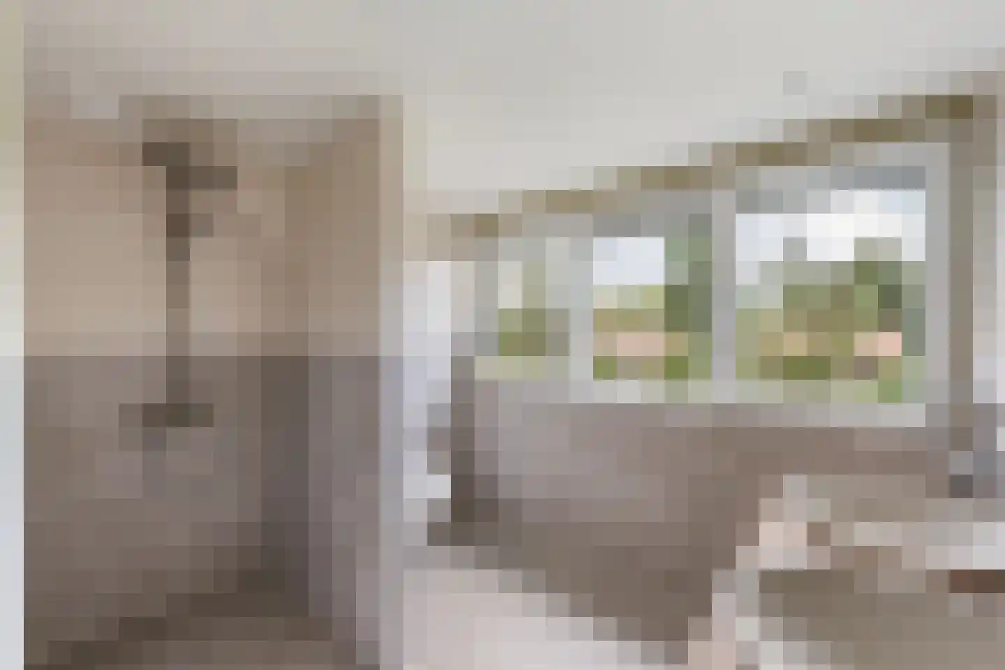 Wipstrikkerallee 116 Zwolle thumbnail 45
