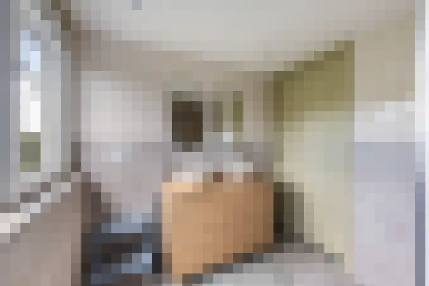 Wipstrikkerallee 116 Zwolle thumbnail 47