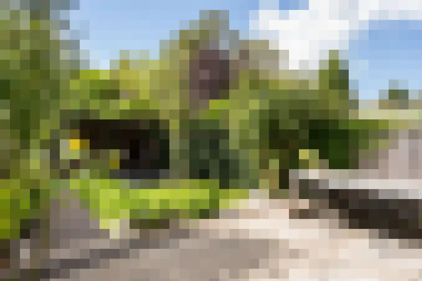 Wipstrikkerallee 116 Zwolle thumbnail 48