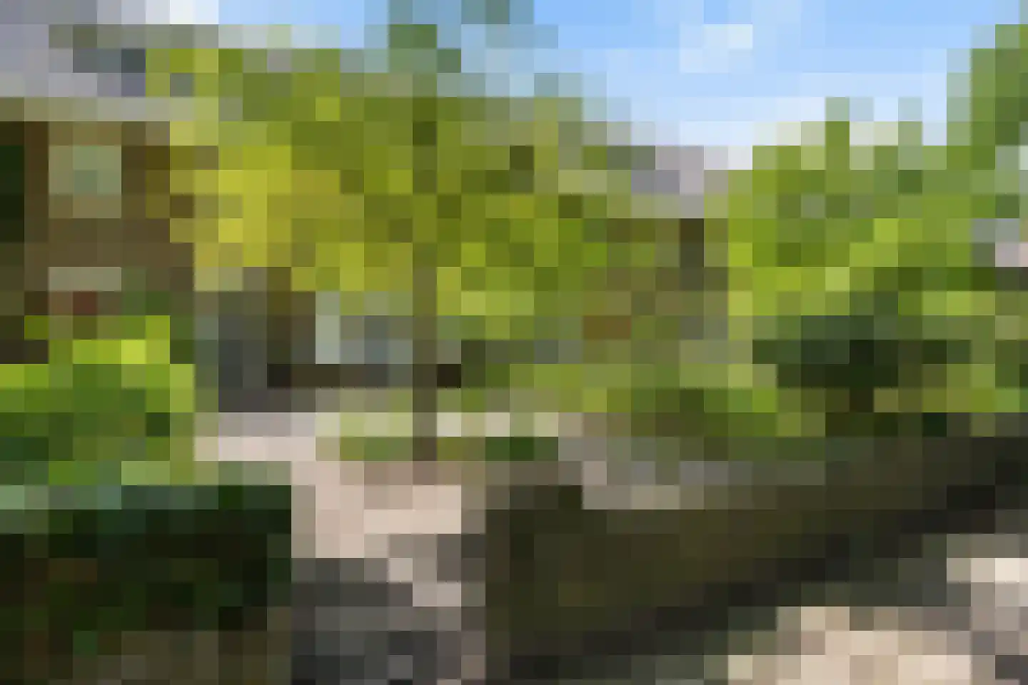 Wipstrikkerallee 116 Zwolle thumbnail 5