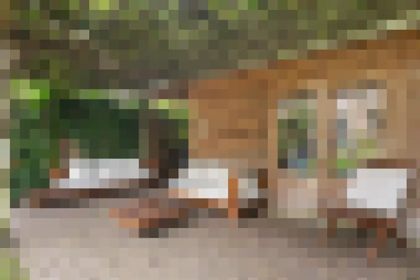 Wipstrikkerallee 116 Zwolle thumbnail 51
