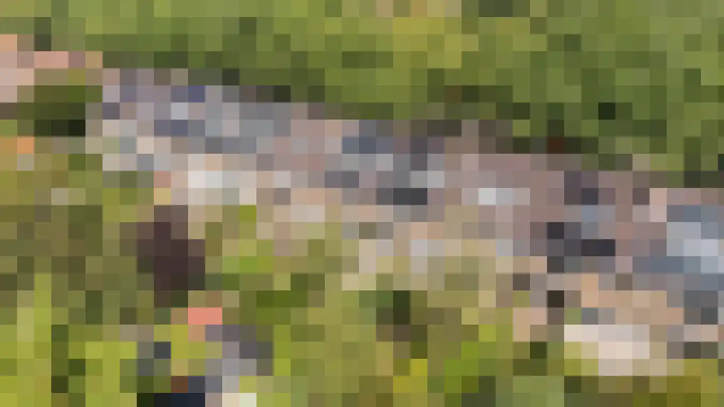 Wipstrikkerallee 116 Zwolle thumbnail 52