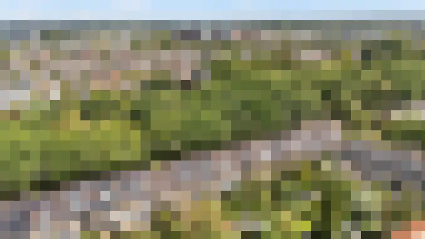 Wipstrikkerallee 116 Zwolle thumbnail 53