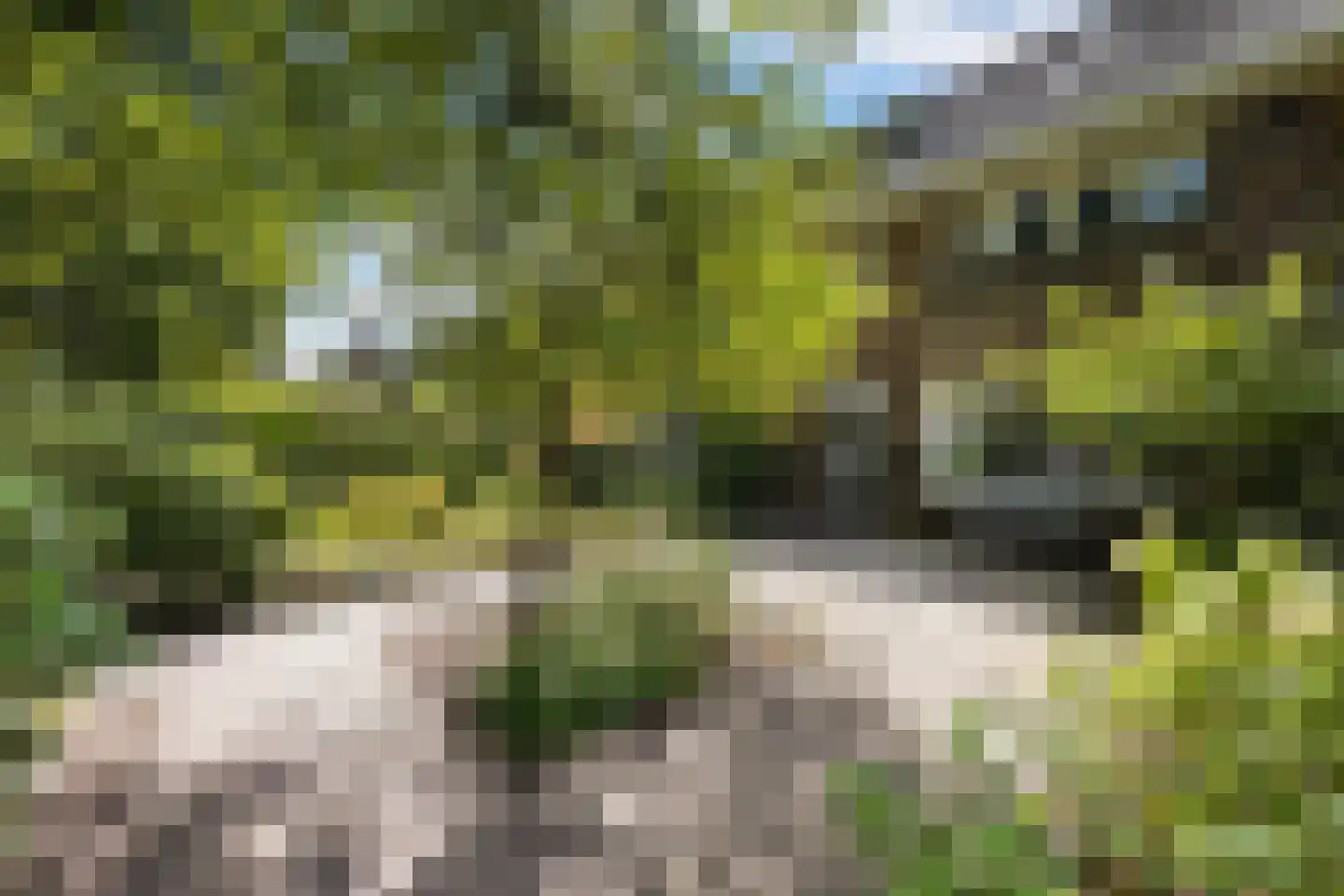 Wipstrikkerallee 116 Zwolle thumbnail 7