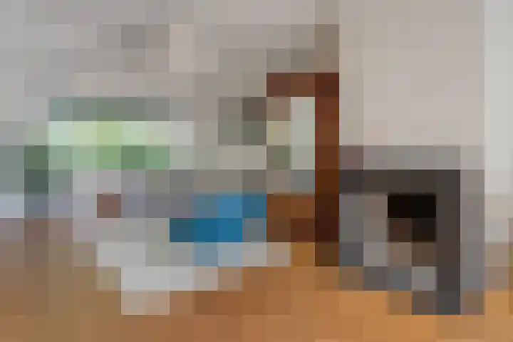 Wipstrikkerallee 138 Zwolle thumbnail 11