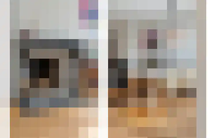 Wipstrikkerallee 138 Zwolle thumbnail 14