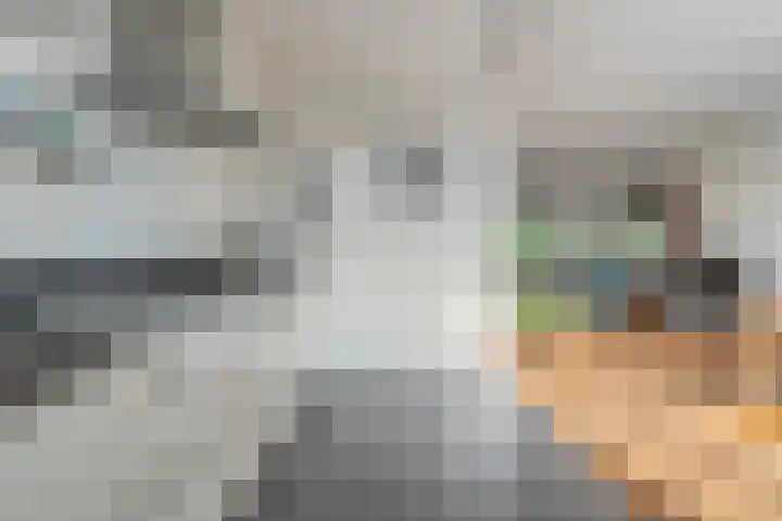 Wipstrikkerallee 138 Zwolle thumbnail 19