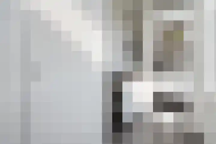 Wipstrikkerallee 138 Zwolle thumbnail 21
