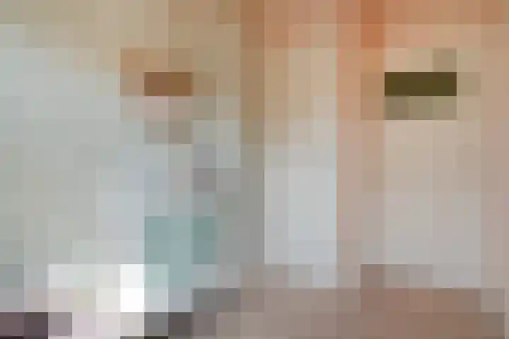 Wipstrikkerallee 138 Zwolle thumbnail 27