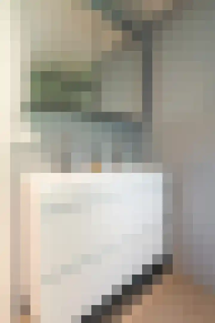 Wipstrikkerallee 138 Zwolle thumbnail 32