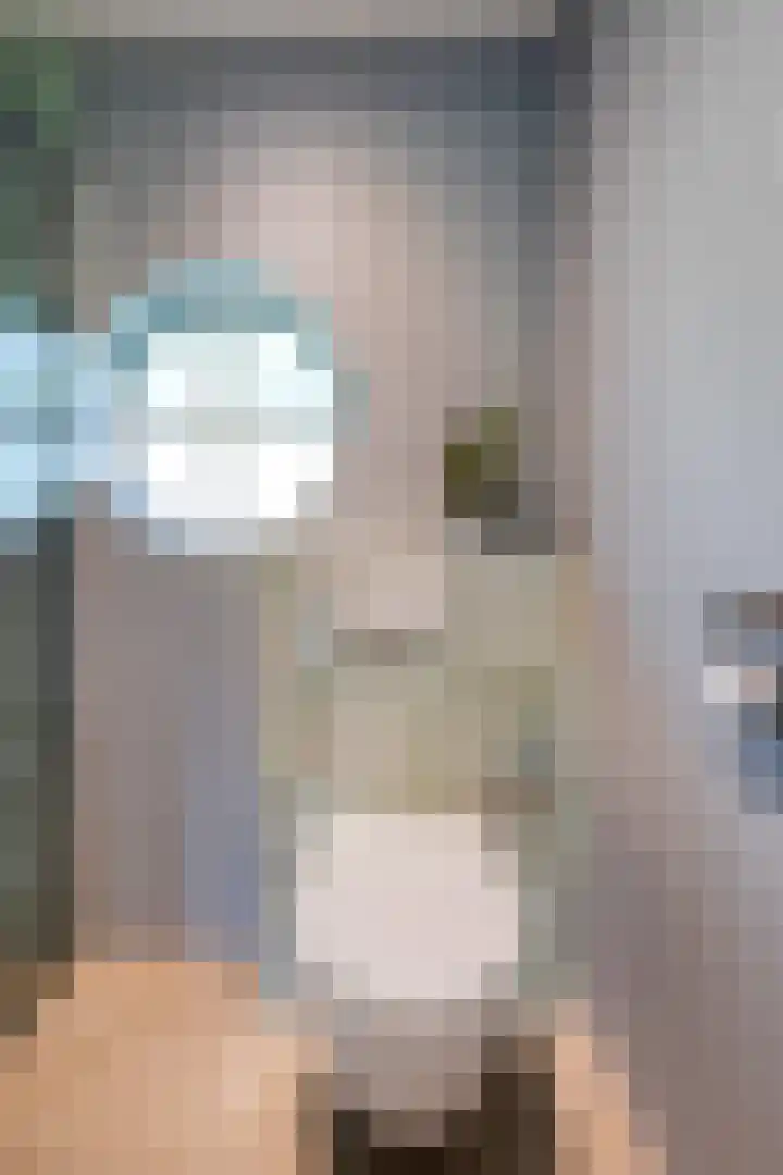 Wipstrikkerallee 138 Zwolle thumbnail 33