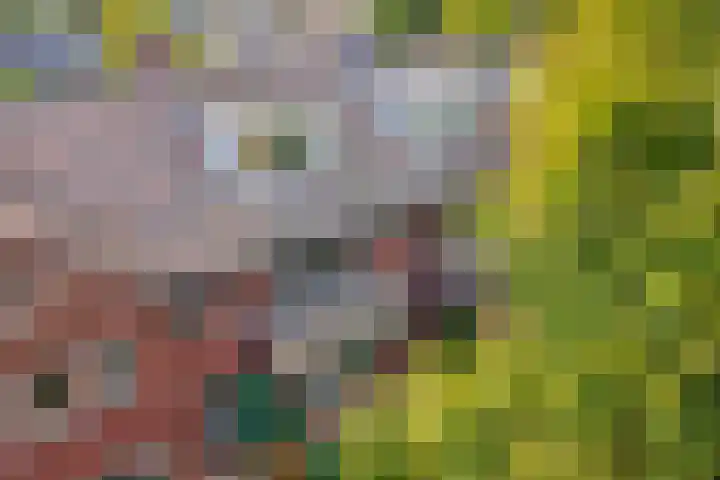 Wipstrikkerallee 138 Zwolle thumbnail 4