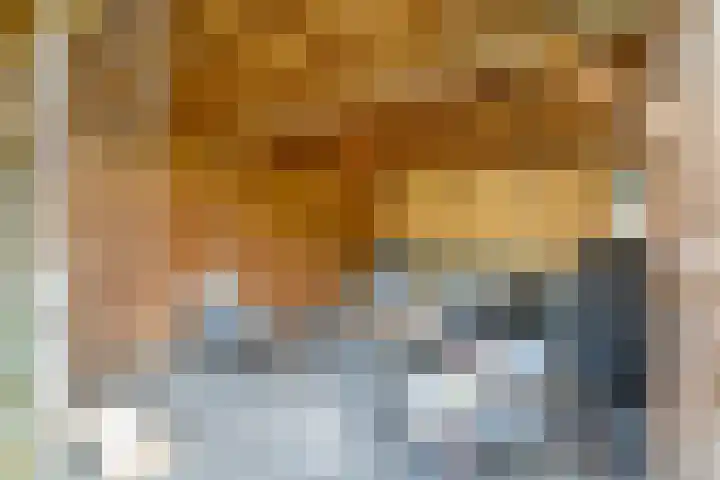 Wipstrikkerallee 138 Zwolle thumbnail 41