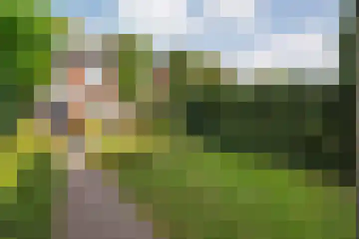 Wipstrikkerallee 138 Zwolle thumbnail 42