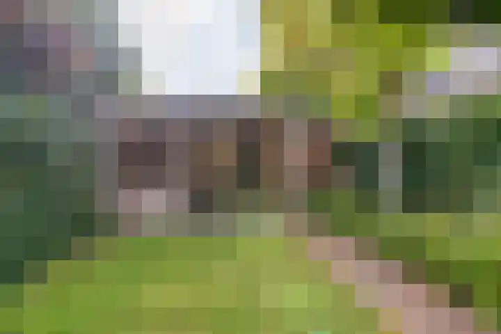 Wipstrikkerallee 138 Zwolle thumbnail 43