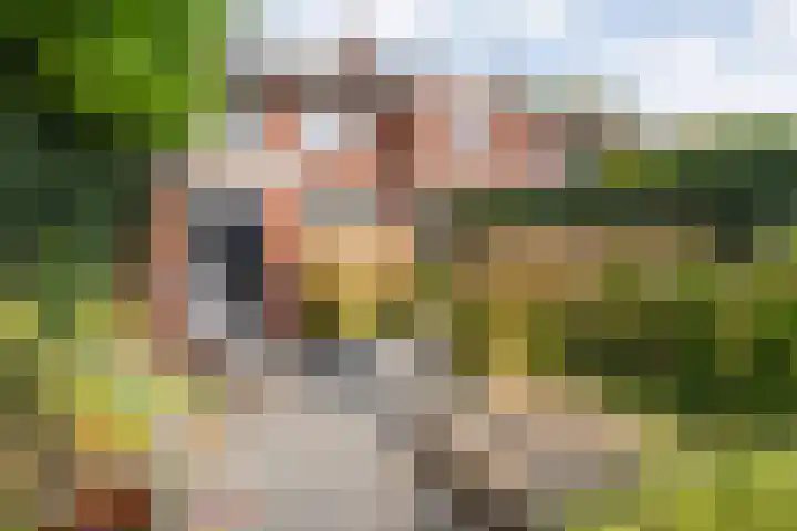 Wipstrikkerallee 138 Zwolle thumbnail 44