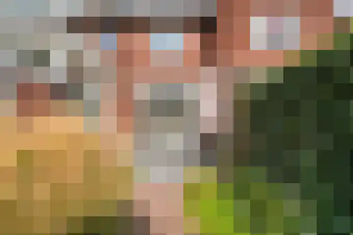Wipstrikkerallee 138 Zwolle thumbnail 45