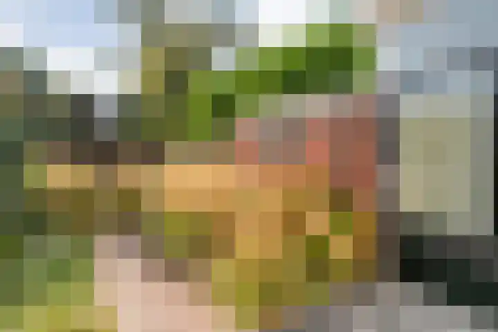 Wipstrikkerallee 138 Zwolle thumbnail 46