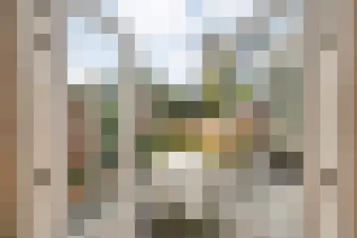 Wipstrikkerallee 138 Zwolle thumbnail 47