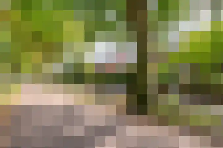 Wipstrikkerallee 138 Zwolle thumbnail 5