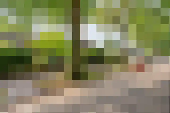 Wipstrikkerallee 138 Zwolle thumbnail 6