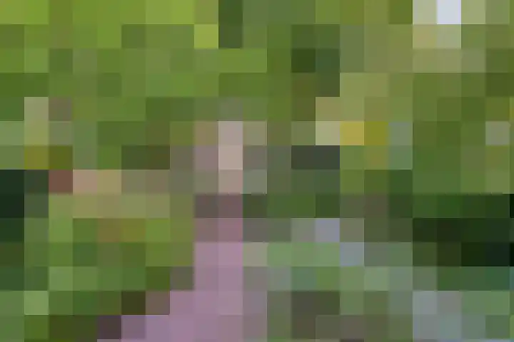 Wipstrikkerallee 138 Zwolle thumbnail 7