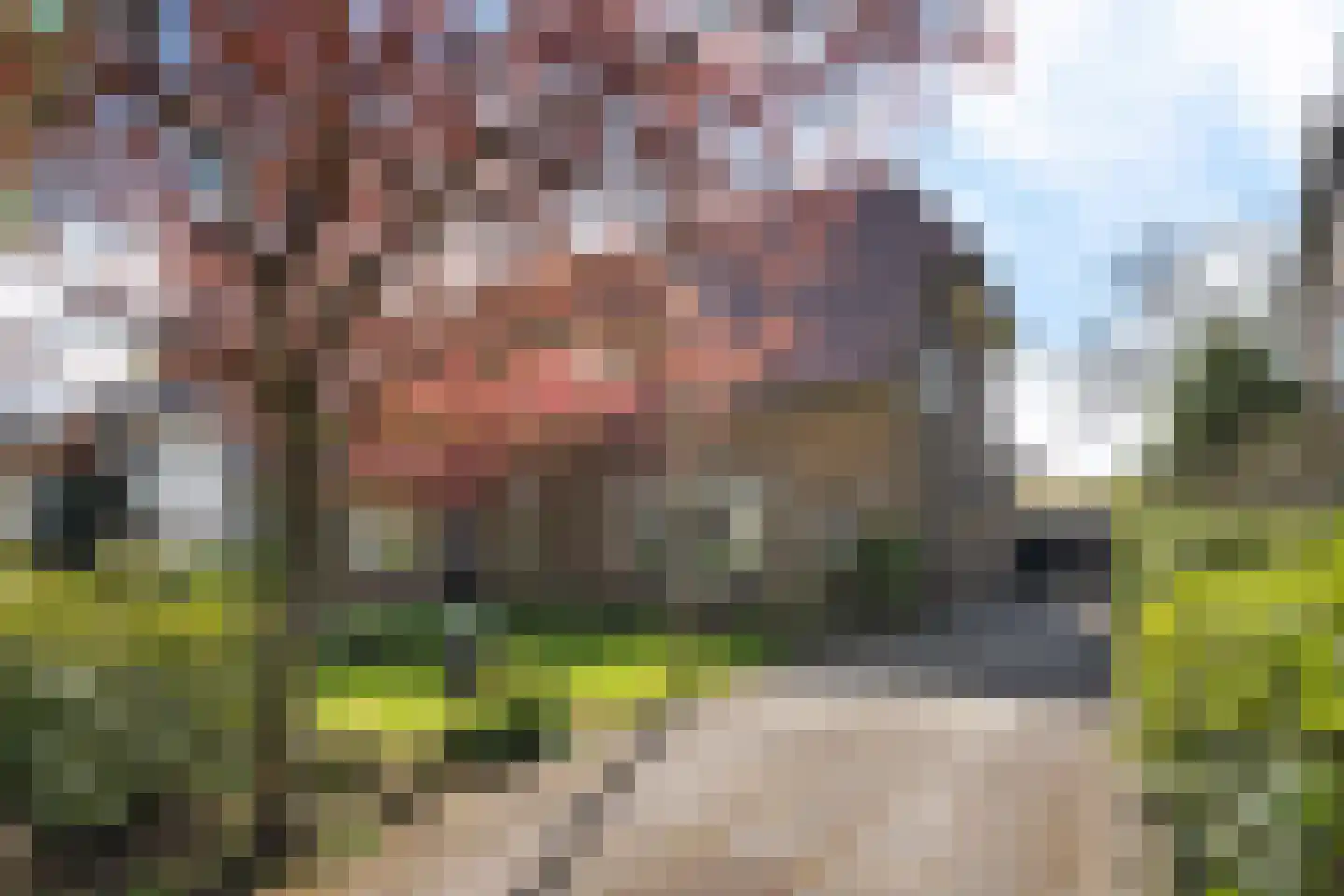 Wipstrikkerallee 182 Zwolle
