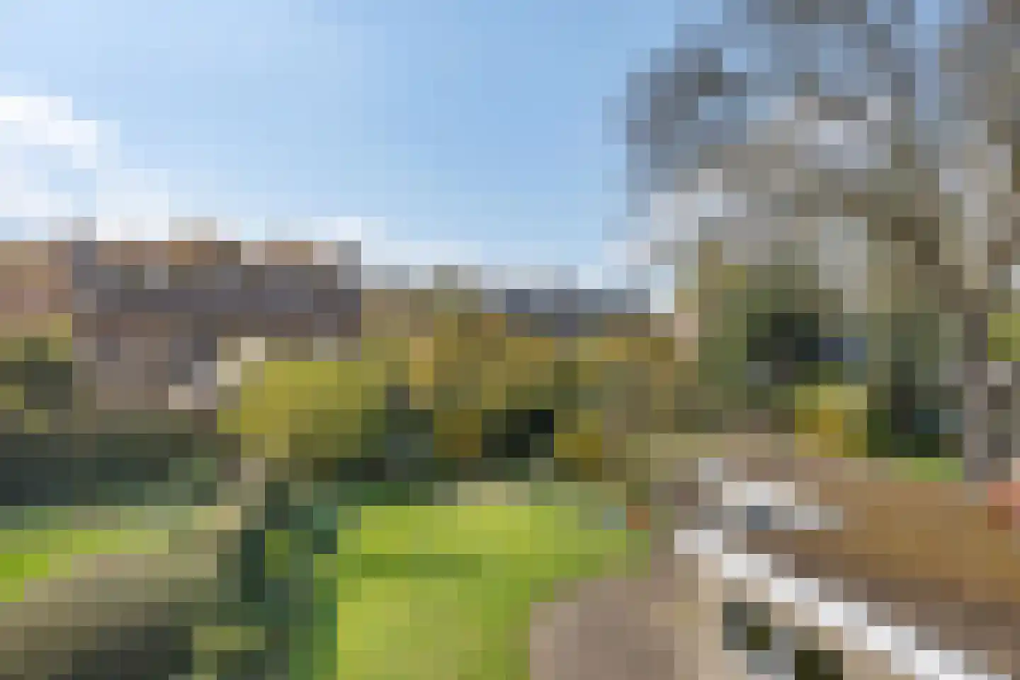 Wipstrikkerallee 182 Zwolle thumbnail 23