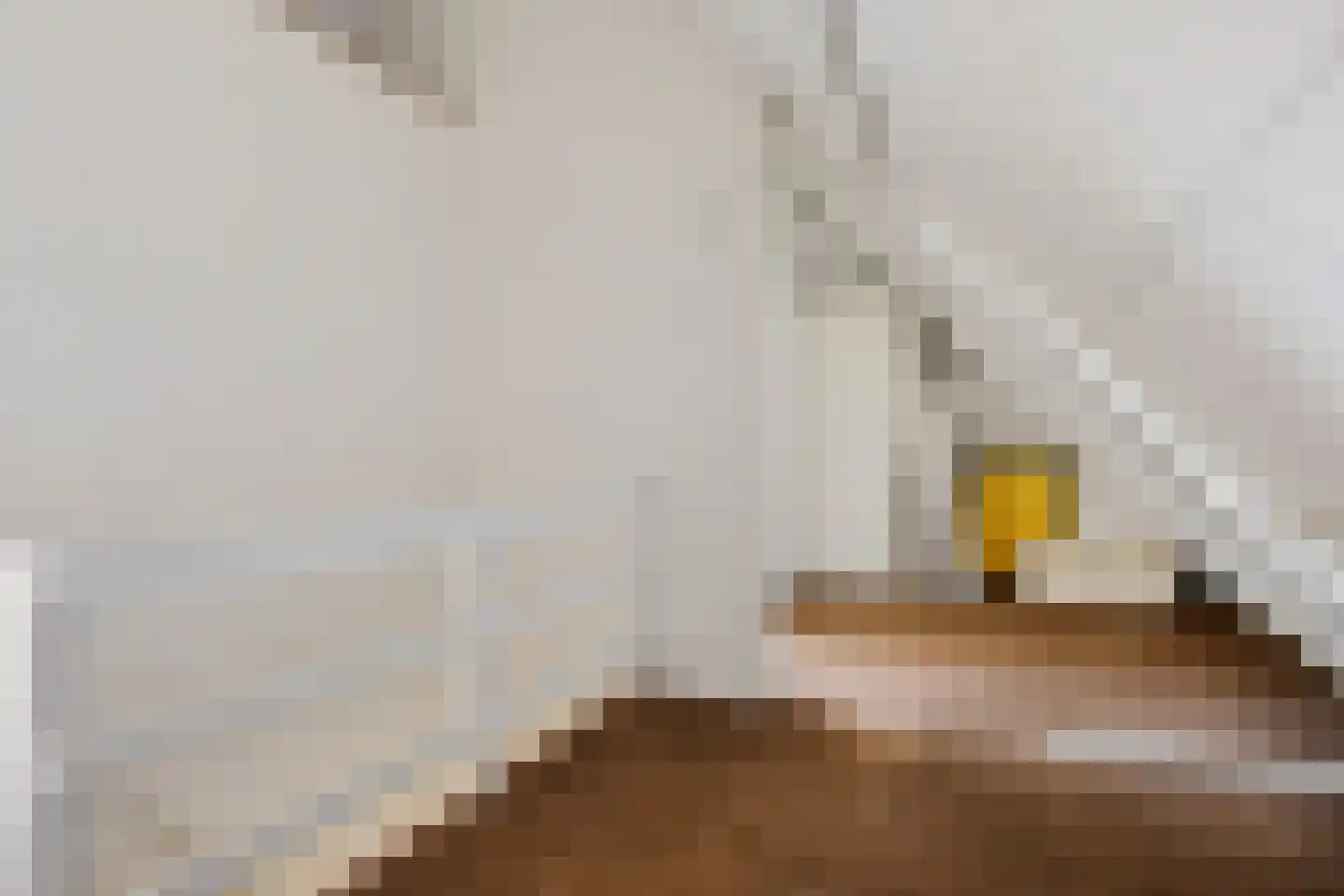 Wipstrikkerallee 182 Zwolle thumbnail 34