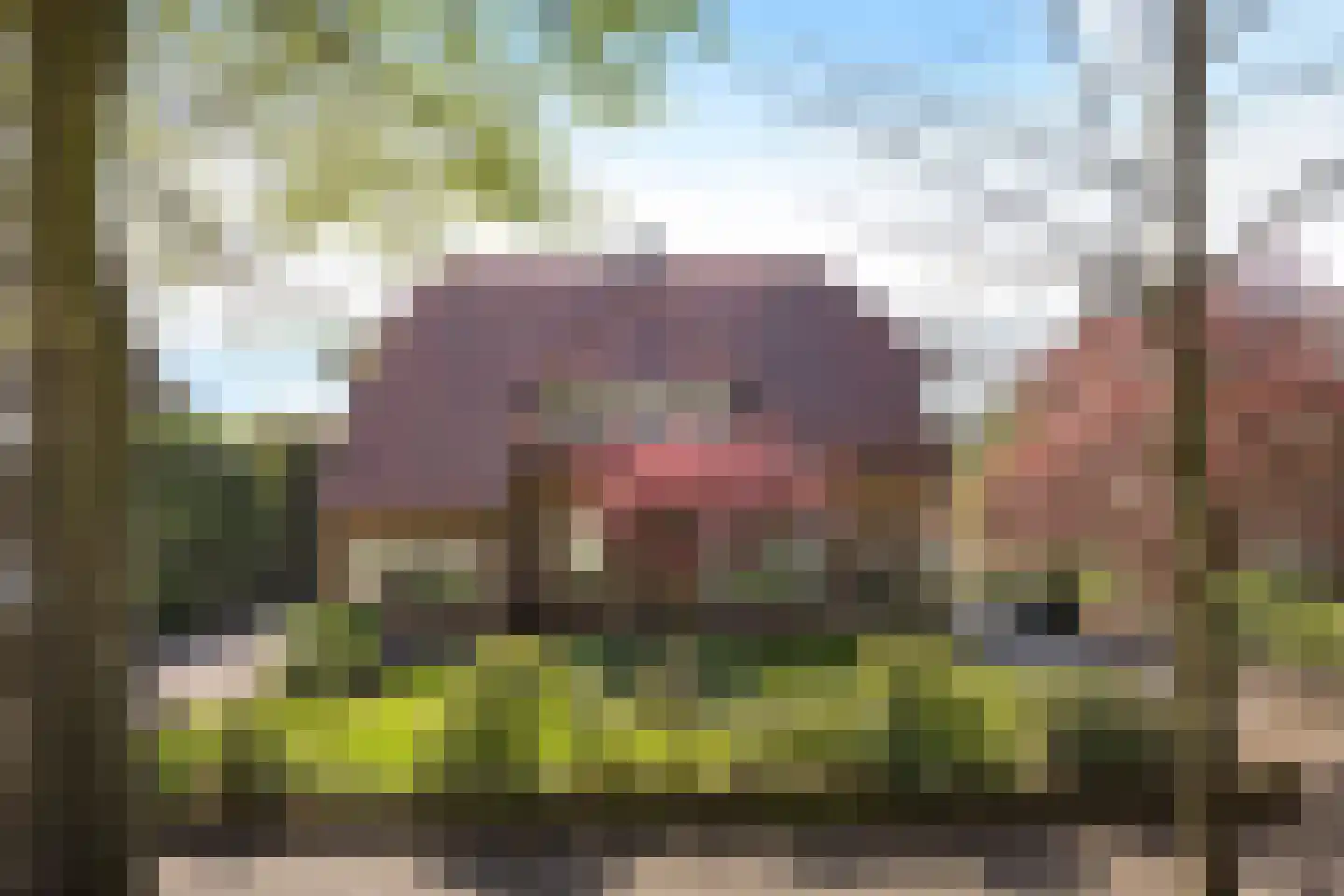 Wipstrikkerallee 182 Zwolle thumbnail 49