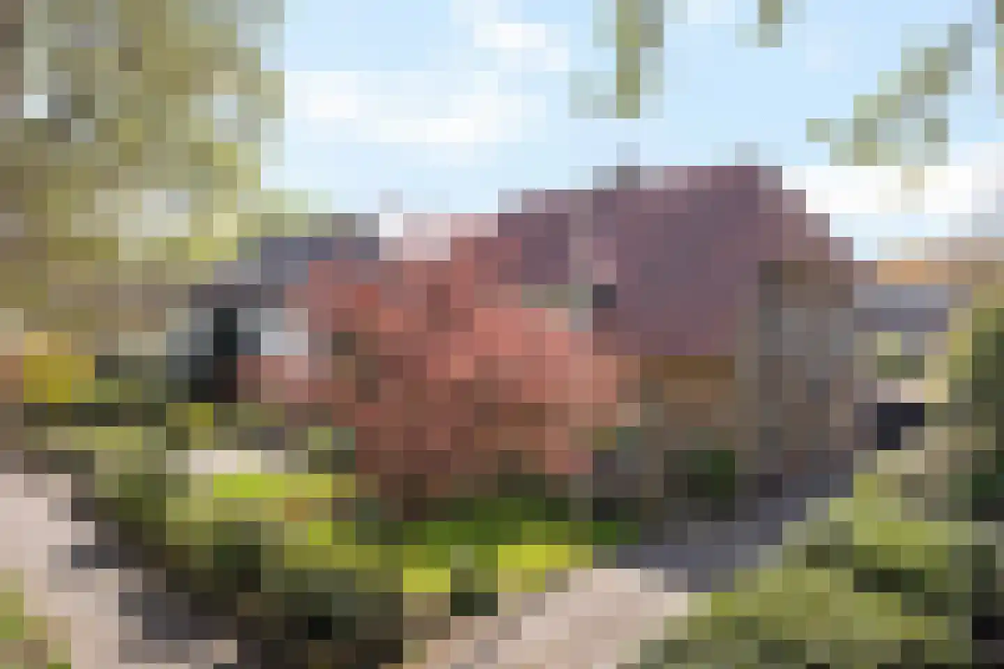 Wipstrikkerallee 182 Zwolle thumbnail 51