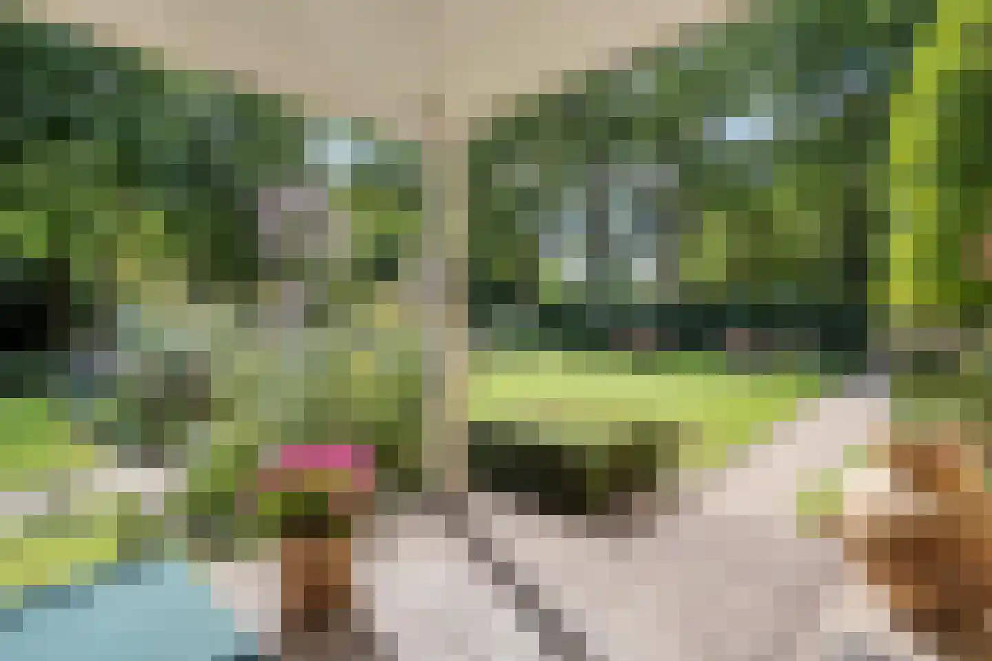 Wipstrikkerallee 197 Zwolle thumbnail 14