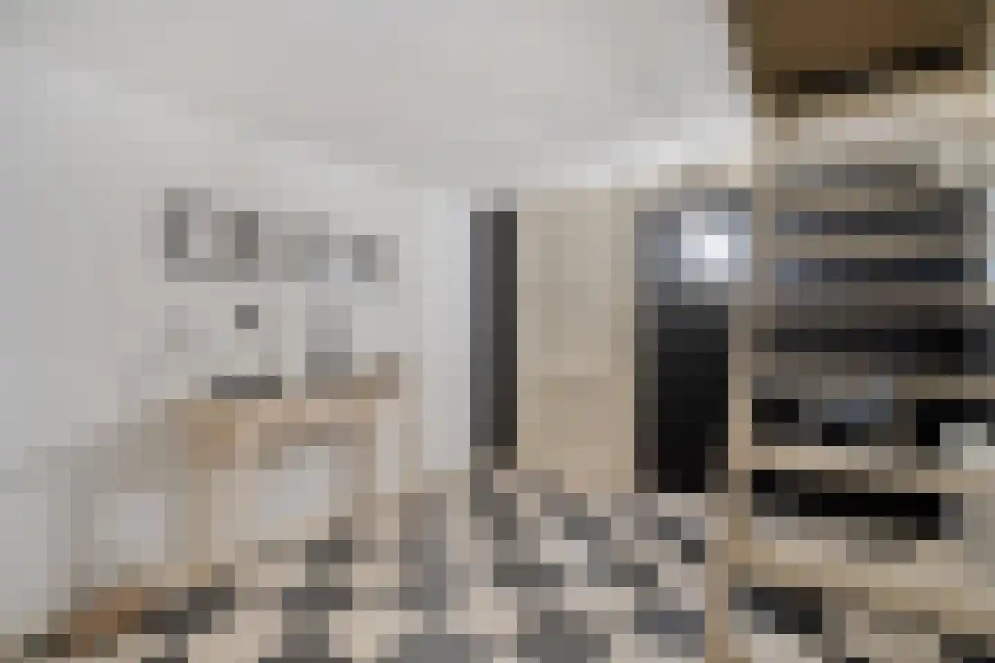 Wipstrikkerallee 197 Zwolle thumbnail 40