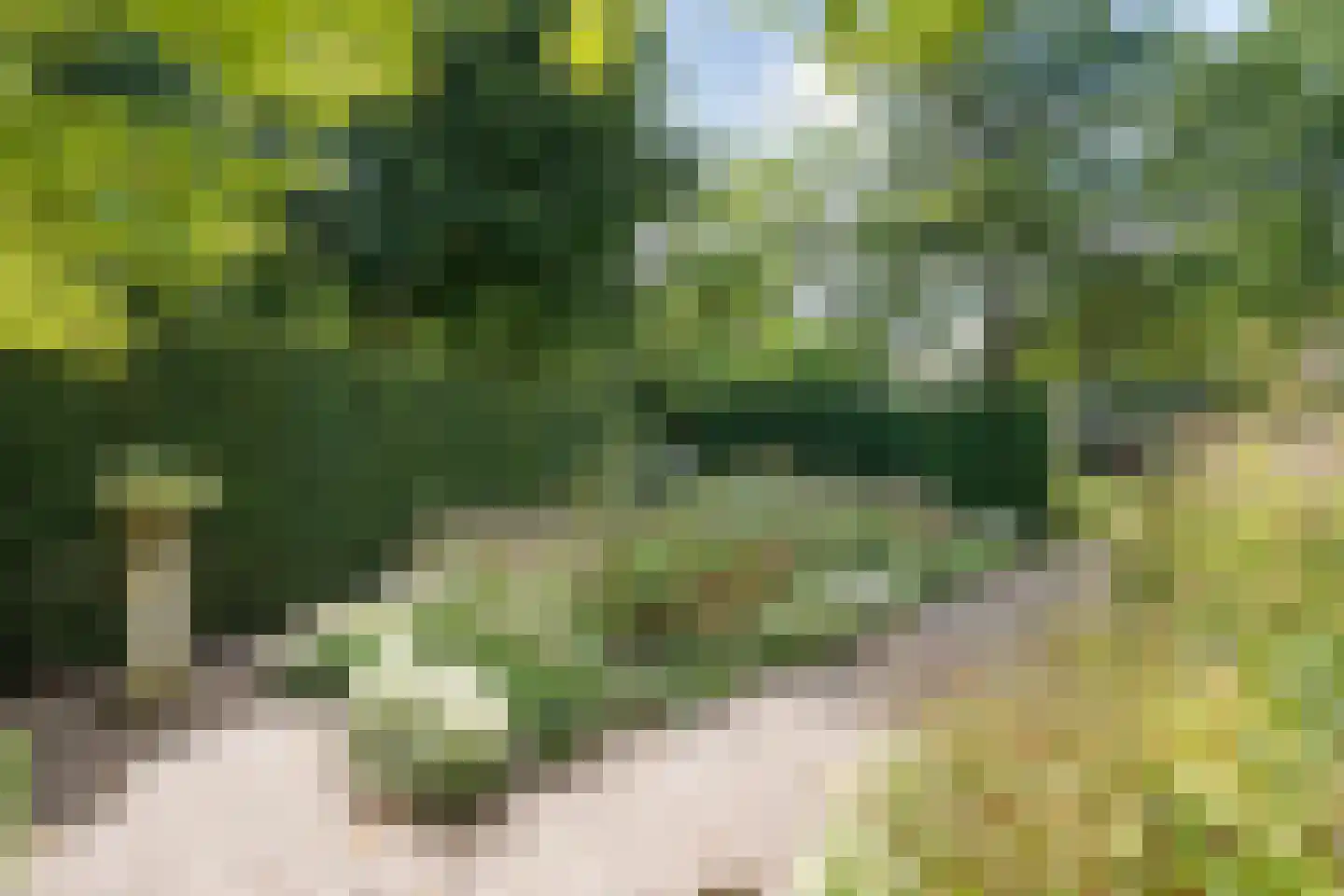 Wipstrikkerallee 197 Zwolle thumbnail 42