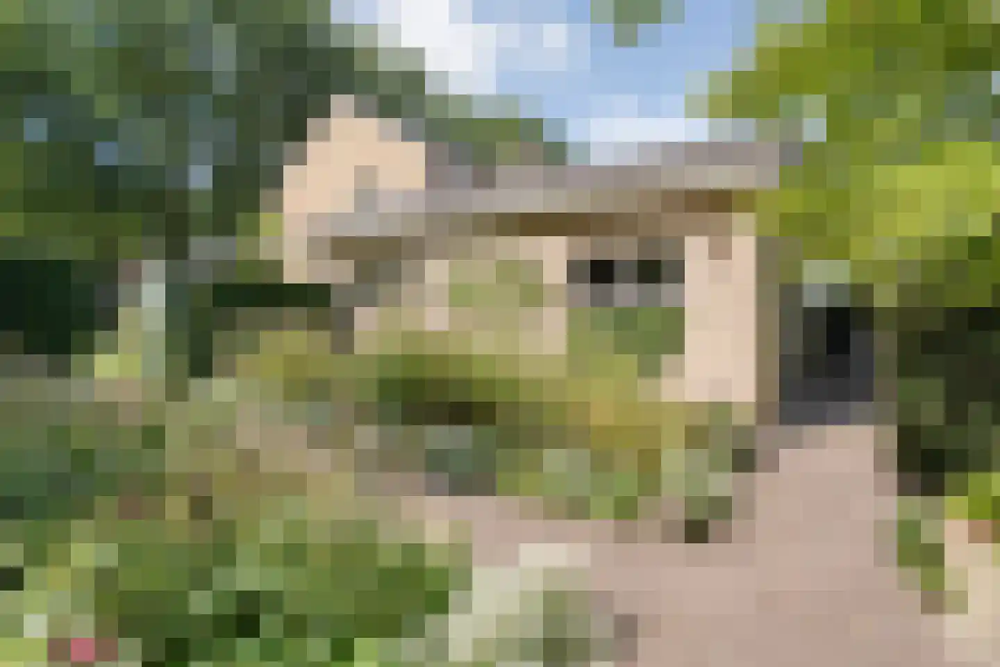 Wipstrikkerallee 197 Zwolle thumbnail 43