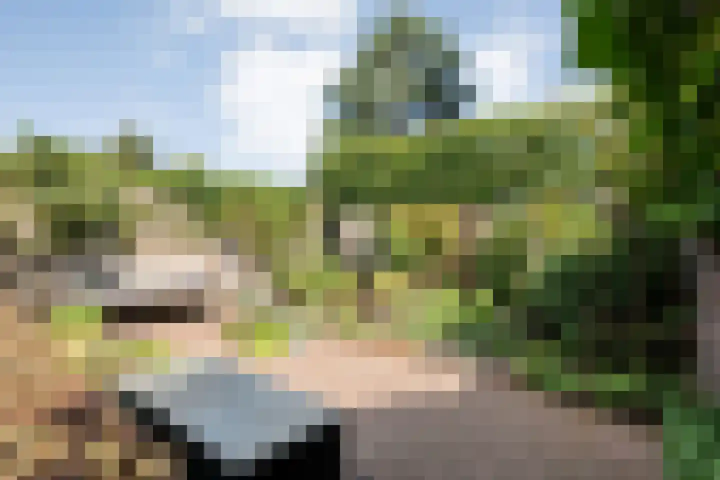 Wipstrikkerallee 197 Zwolle thumbnail 44