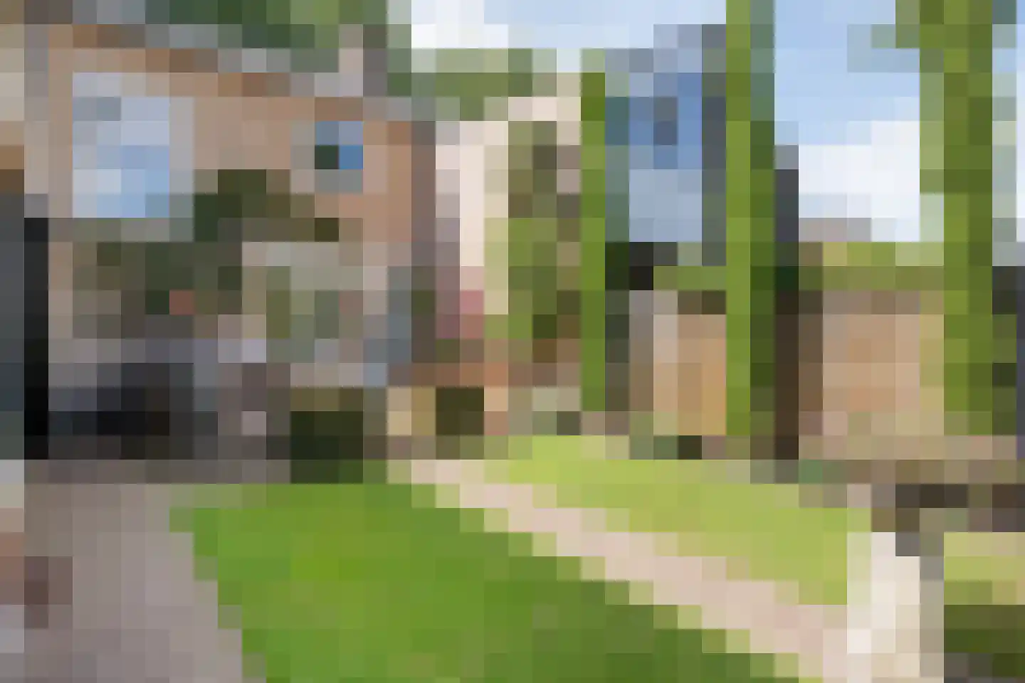 Wipstrikkerallee 197 Zwolle thumbnail 46