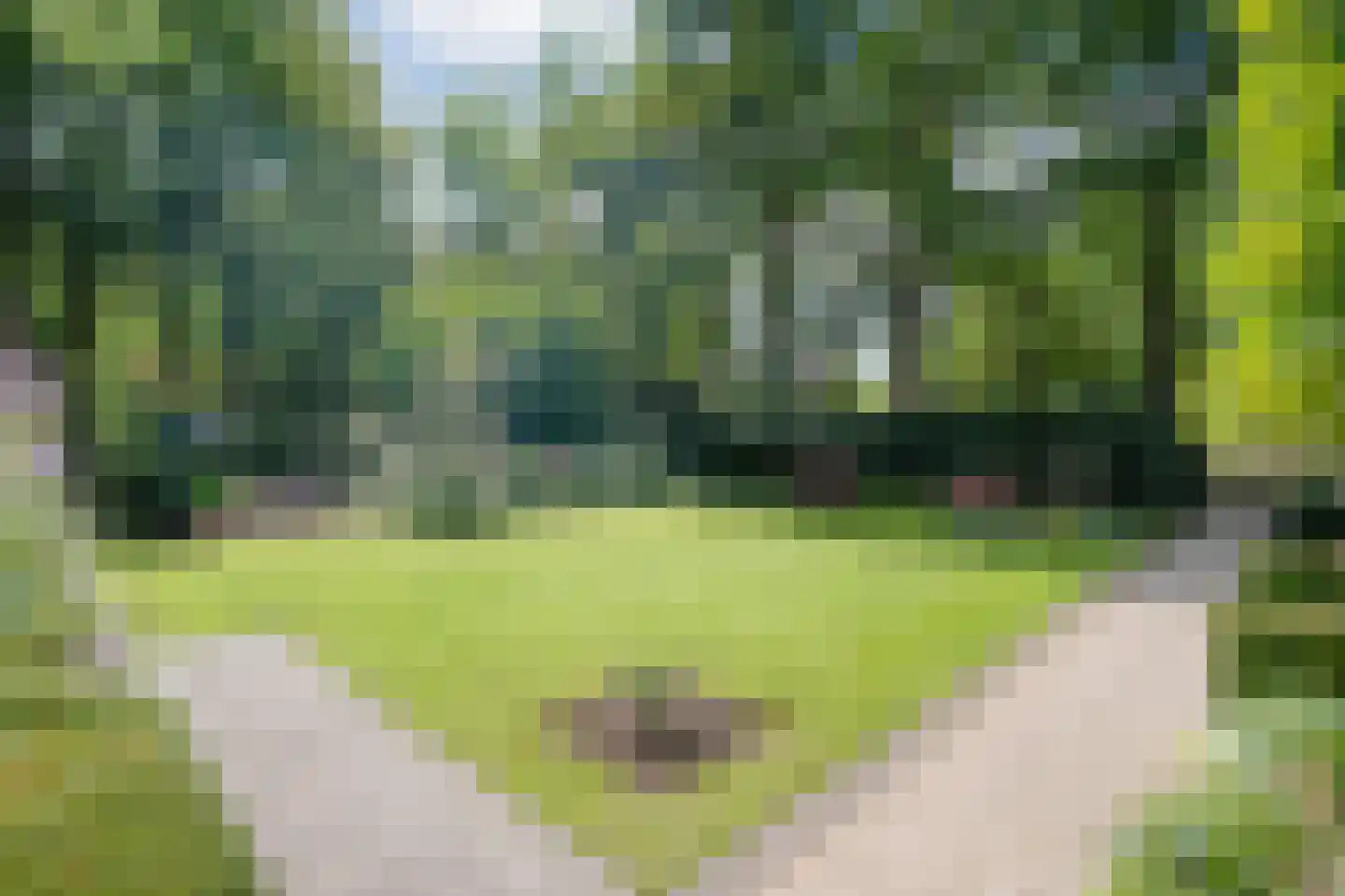 Wipstrikkerallee 197 Zwolle thumbnail 5