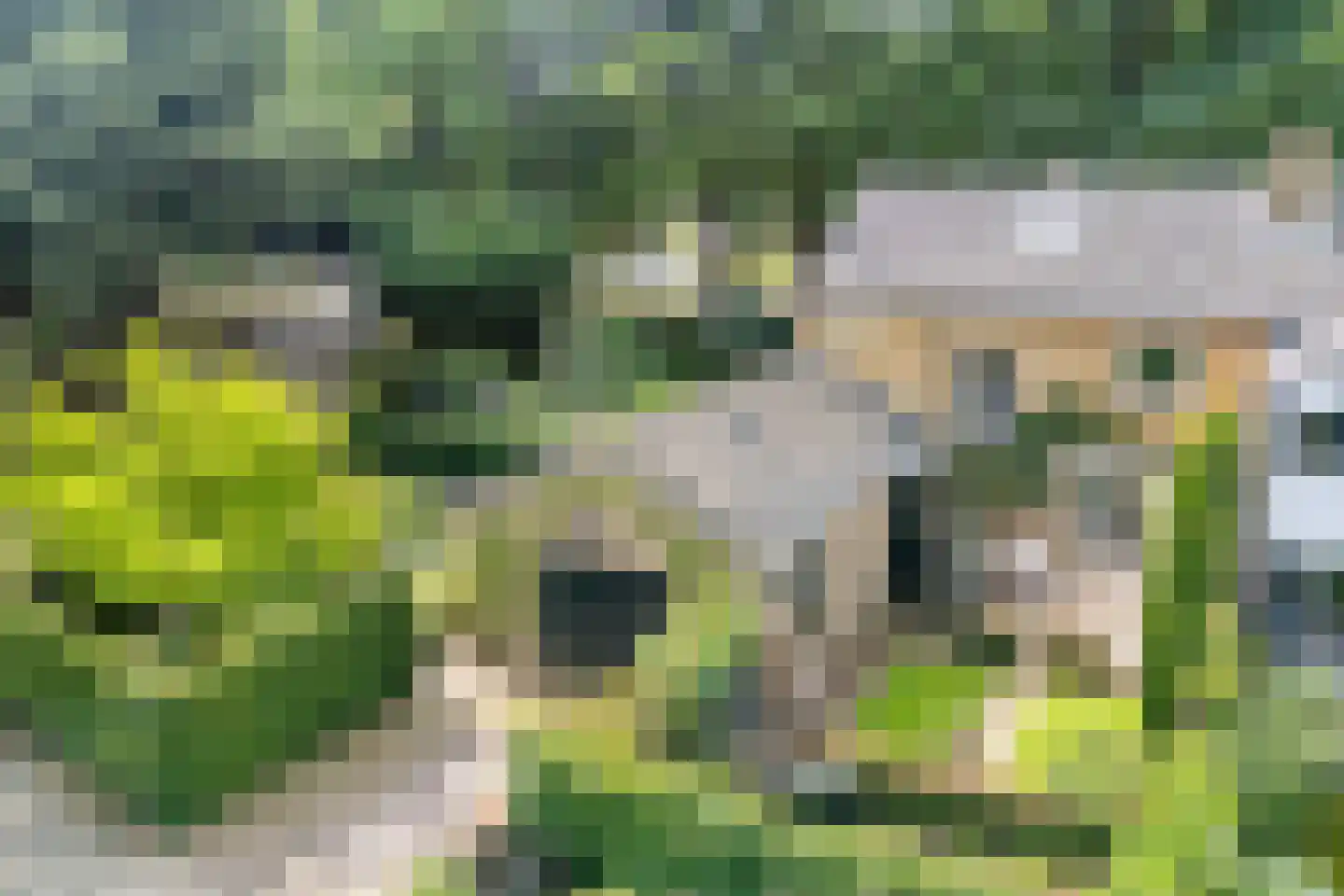 Wipstrikkerallee 197 Zwolle thumbnail 6