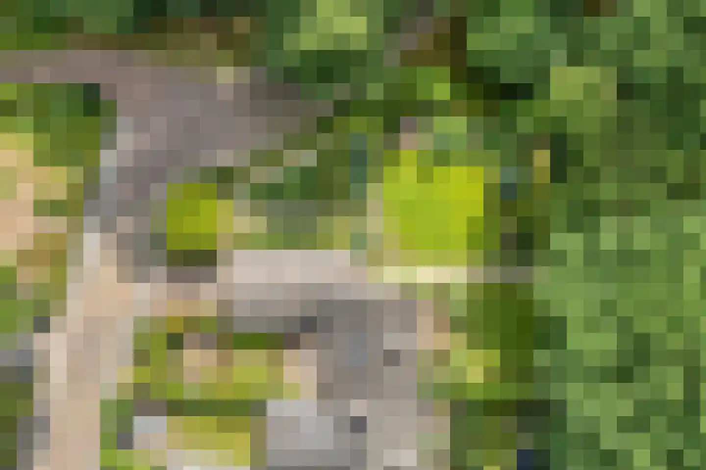 Wipstrikkerallee 197 Zwolle thumbnail 8
