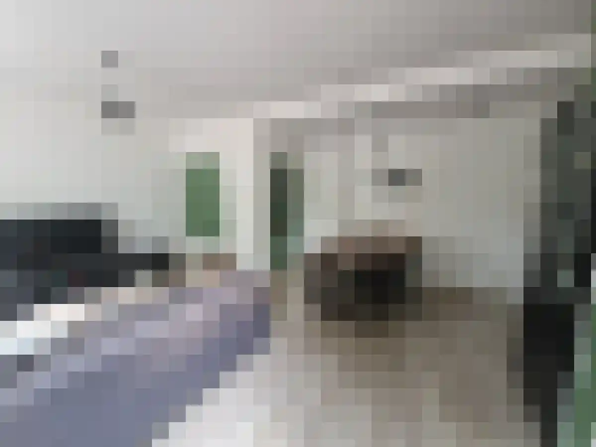 Wipstrikkerallee 31 Zwolle thumbnail 4