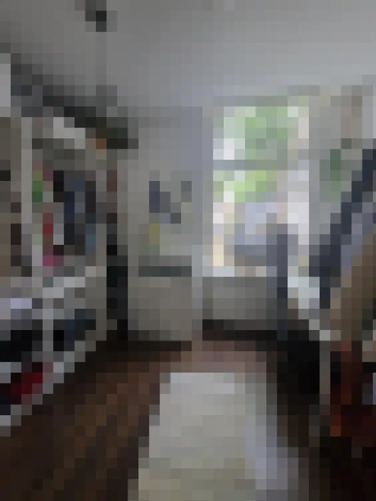 Wipstrikkerallee 31 Zwolle thumbnail 6