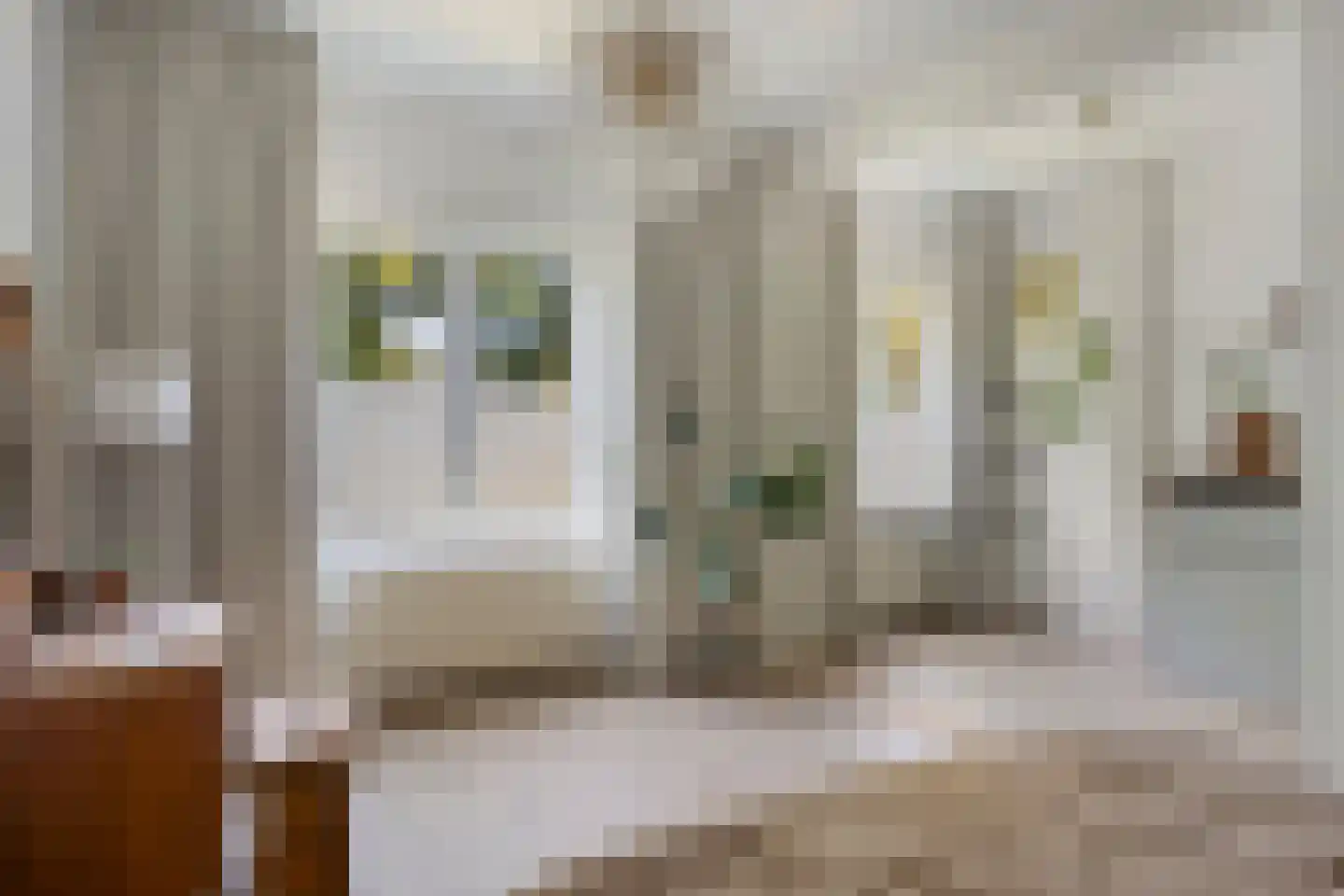 Wipstrikkerallee 39 Zwolle thumbnail 16