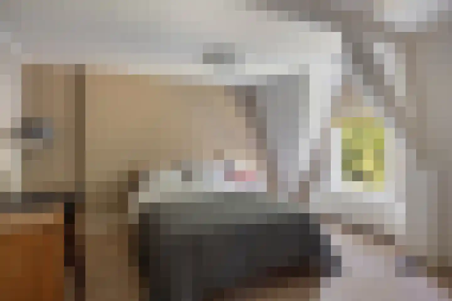 Wipstrikkerallee 39 Zwolle thumbnail 20